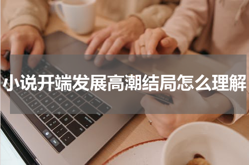小说开端发展高潮结局怎么理解