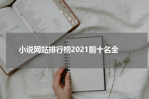 小说网站排行榜2021前十名全