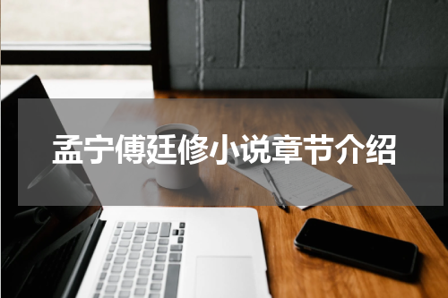 孟宁傅廷修小说章节介绍