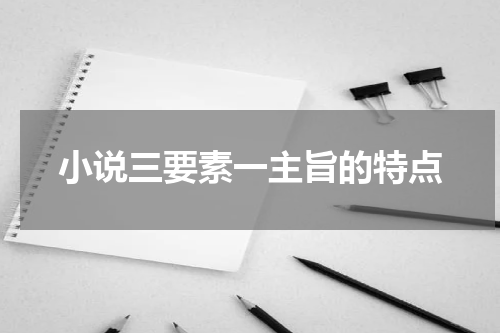 小说三要素一主旨的特点