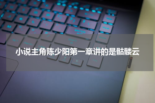 小说主角陈少阳第一章讲的是骷髅云