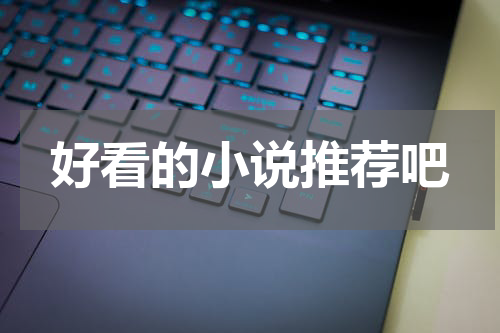 好看的小说推荐吧