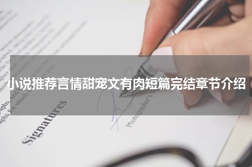 小说推荐言情甜宠文有肉短篇完结章节介绍