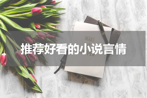 推荐好看的小说言情