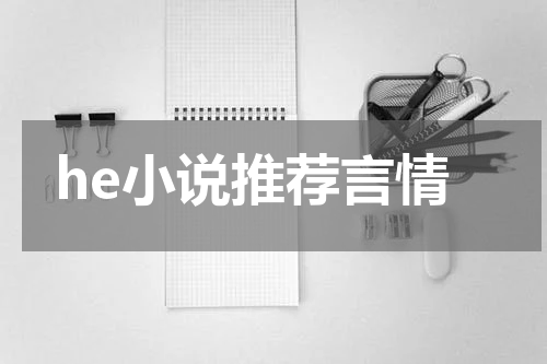 he小说推荐言情