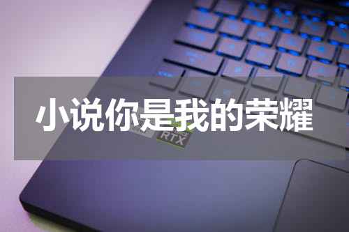 小说你是我的荣耀