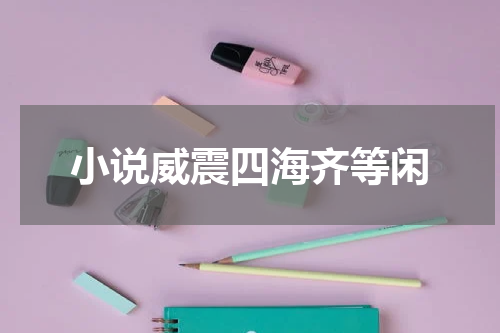小说威震四海齐等闲