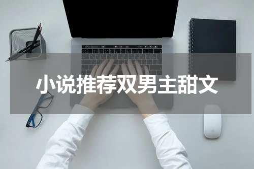 小说推荐双男主甜文