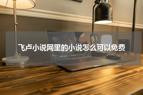 飞卢小说网里的小说怎么可以免费
