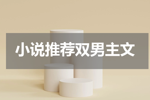 小说推荐双男主文