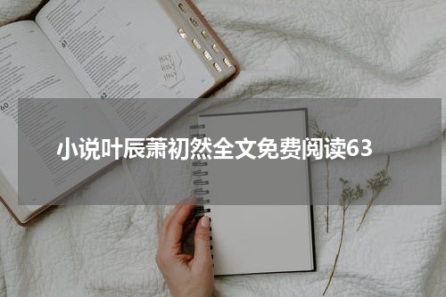 小说叶辰萧初然全文免费阅读63