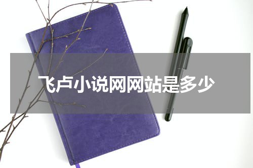 飞卢小说网网站是多少