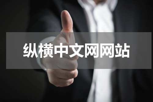 纵横中文网网站