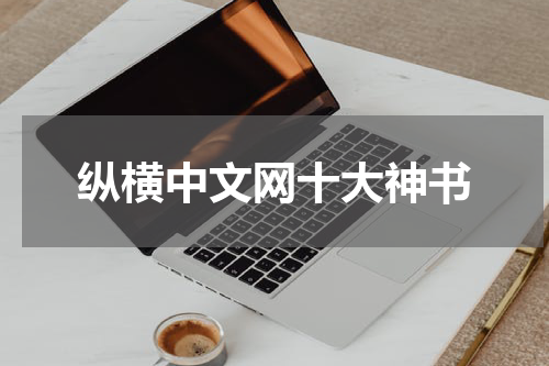 纵横中文网十大神书