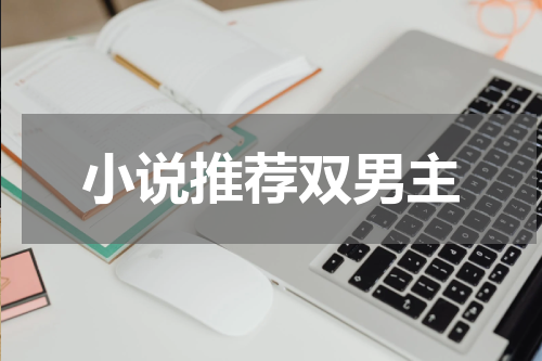 小说推荐双男主