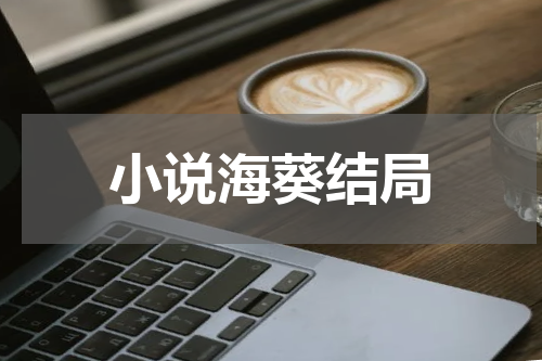 小说海葵结局