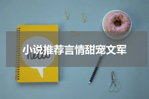 小说推荐言情甜宠文军