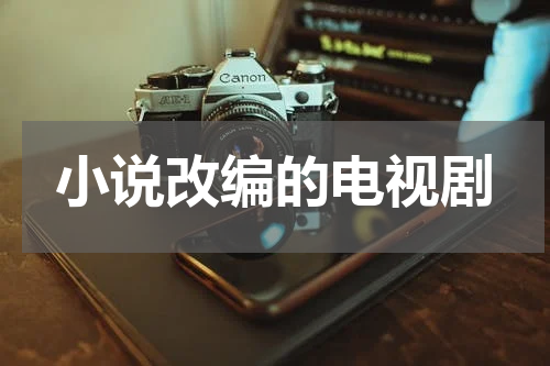 小说改编的电视剧