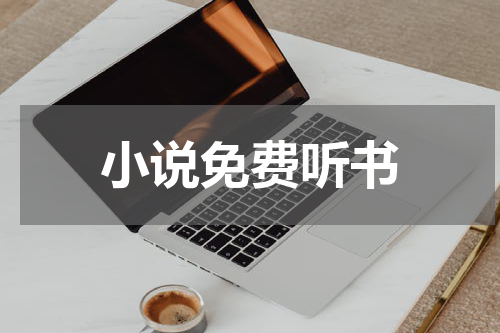 小说免费听书