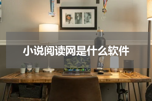 小说阅读网是什么软件