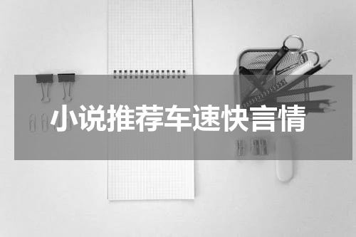 小说推荐车速快言情