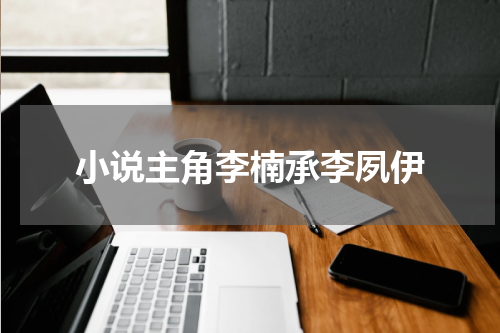 小说主角李楠承李夙伊
