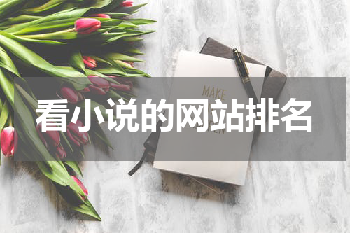 看小说的网站排名