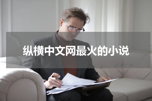 纵横中文网最火的小说