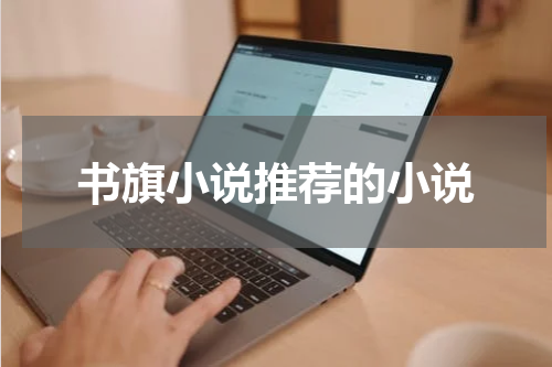 书旗小说推荐的小说