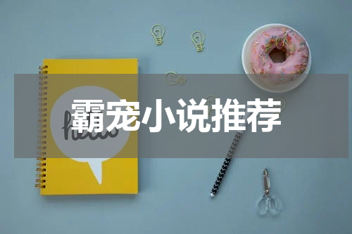 霸宠小说推荐