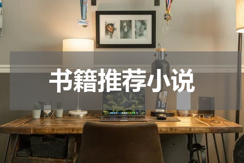 书籍推荐小说