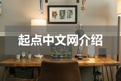 起点中文网介绍