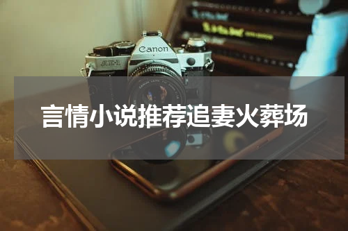 言情小说推荐追妻火葬场