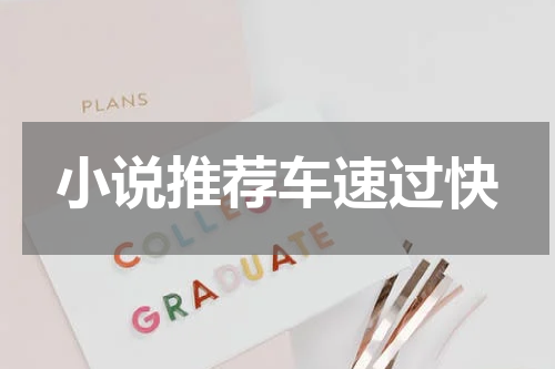小说推荐车速过快