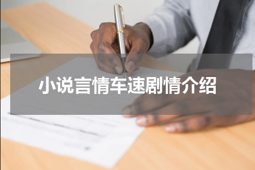 小说言情车速剧情介绍
