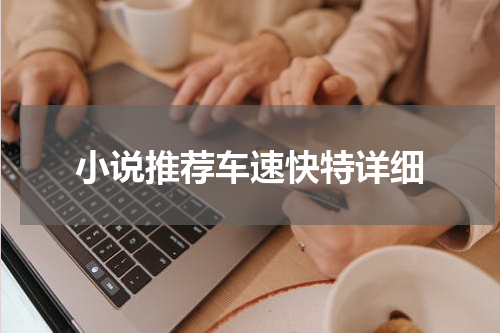 小说推荐车速快特详细