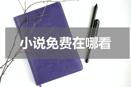 小说免费在哪看