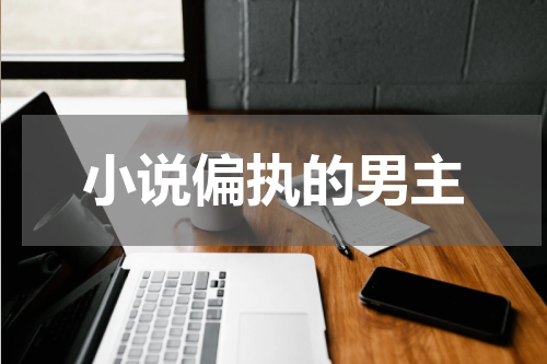 小说偏执的男主