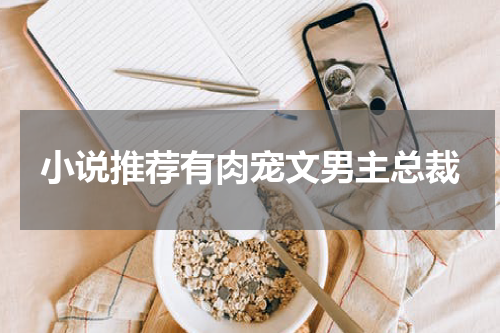 小说推荐有肉宠文男主总裁