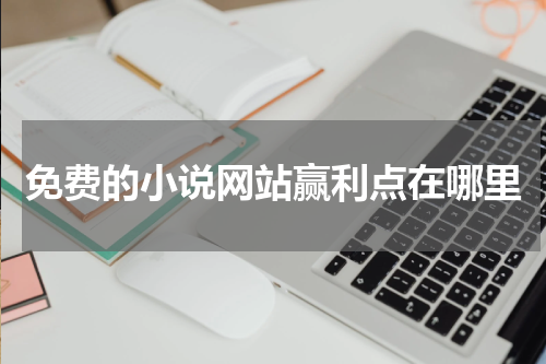 免费的小说网站赢利点在哪里