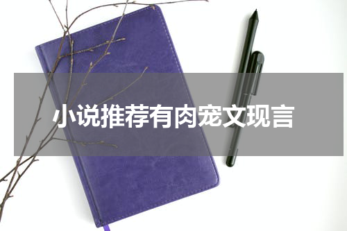 小说推荐有肉宠文现言