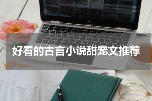 好看的古言小说甜宠文推荐