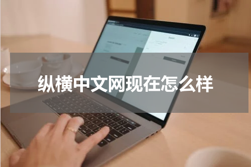 纵横中文网现在怎么样