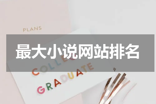 最大小说网站排名