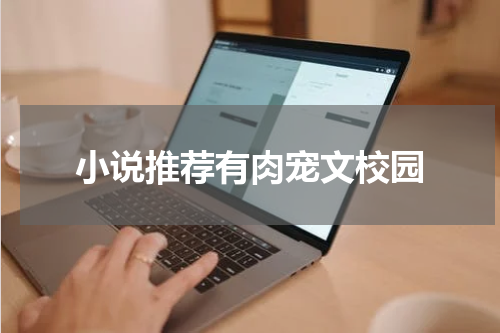 小说推荐有肉宠文校园