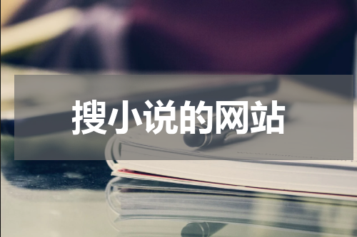 搜小说的网站