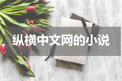 纵横中文网的小说