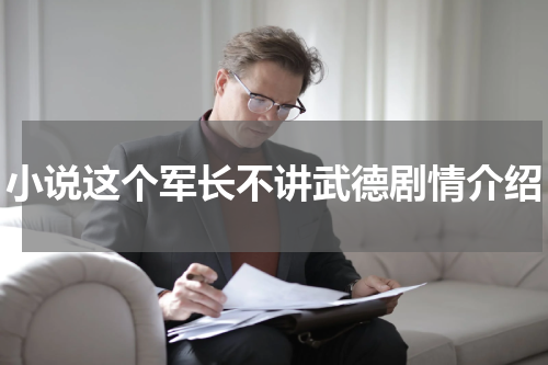 小说这个军长不讲武德剧情介绍