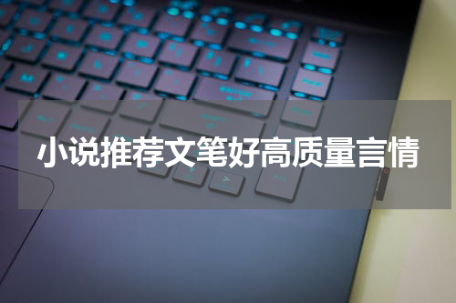 小说推荐文笔好高质量言情
