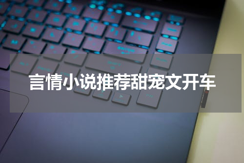 言情小说推荐甜宠文开车